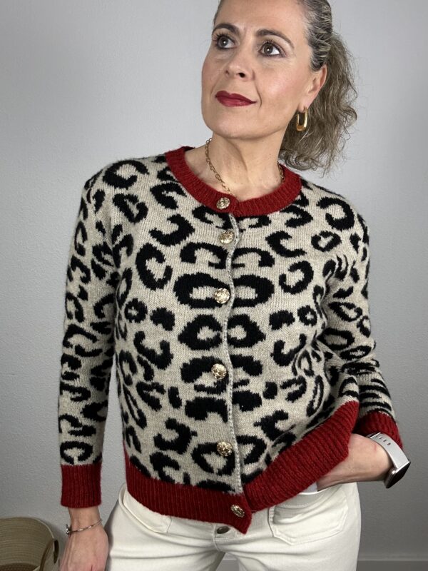 Rebeca animal print - Imagen 4