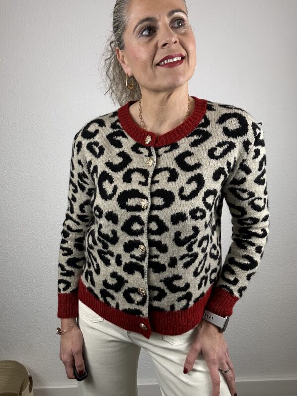 Rebeca animal print